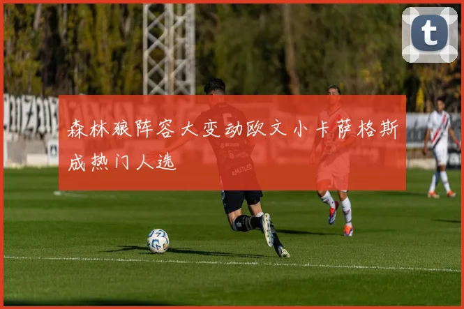 森林狼阵容大变动欧文小卡萨格斯成热门人选